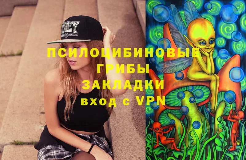 Псилоцибиновые грибы Magic Shrooms  Полевской 